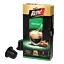Hazelnoot