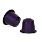 Hazelnoot